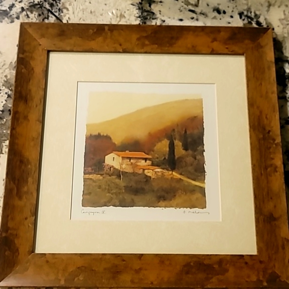 🫠"Framed Art Print" Campagna IV by Amy